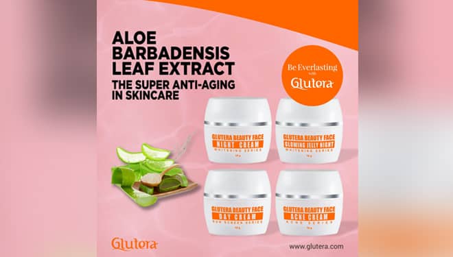Aloe Barbadensis Leaf Extract, The Super Anti Aging dalam Skincare