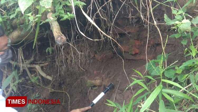 Struktur Bata Kuno Ditemukan Kembali di Persawahan Warga Bondowoso