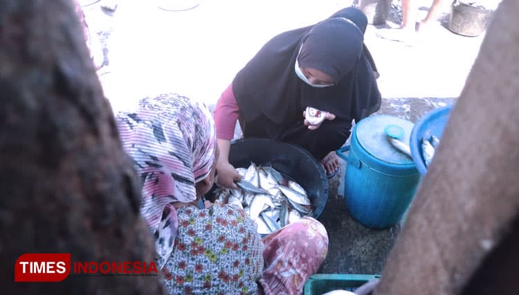 Dampak Covid-19, Pendapatan Nelayan Gresik Berkurang