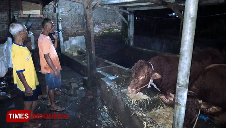 Dua Sapi Mati Akibat Banjir di Kota Malang, Warga Rugi Puluhan Juta Rupiah