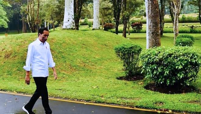 Jokowi Berikan BLT Minyak Goreng, Pengamat: Pemerintah Kalah dengan Mafia