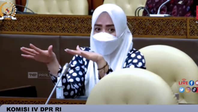 Alien Mus Kritik BBM Subsidi Bagi Nelayan yang Tidak Tepat Sasaran