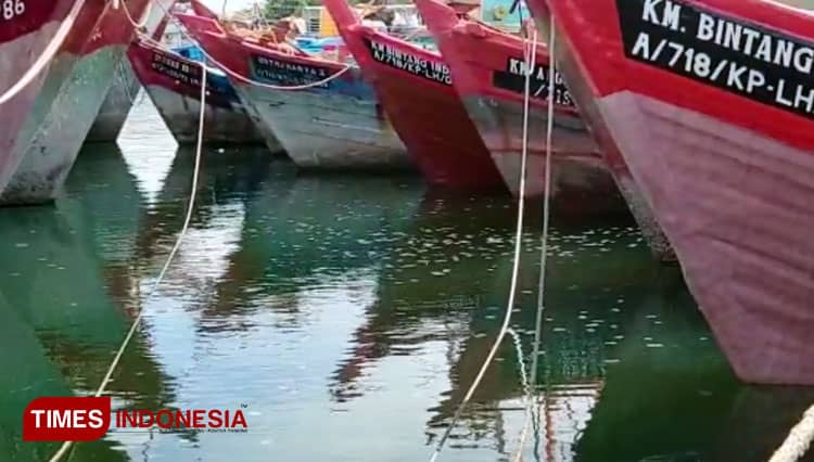 Lagi, Jutaan Ubur-ubur Muncul di Pelabuhan Perikanan Pantai Mayangan Kota Probolinggo