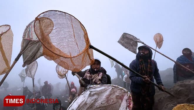 Perayaan Yadnya Kasada Semakin Ramai, Larung Sesaji Melimpah