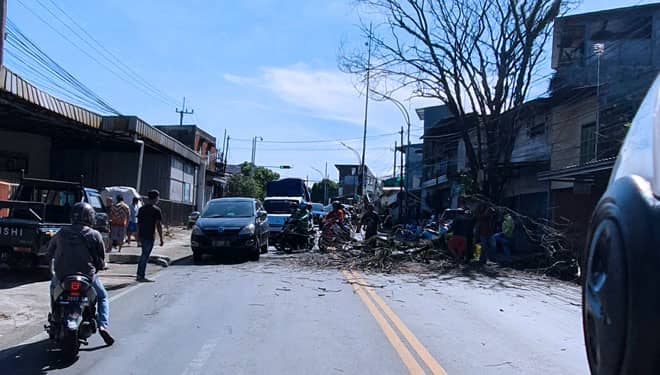 Pohon Tumbang Celakakan Satu Keluarga di Kota Malang
