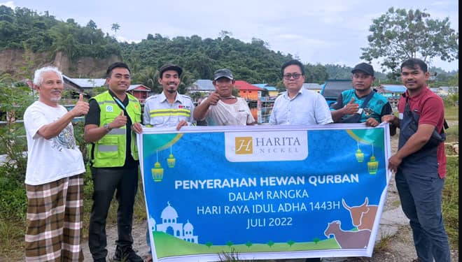 Rayakan Idul Adha 1443 H dengan Berbagi, Harita Nickel Salurkan 24 Ekor Sapi