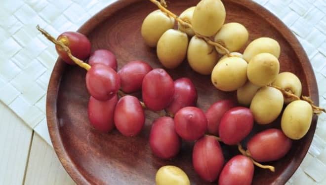 Benarkah Makan Kurma Muda Bisa Cepat Hamil?