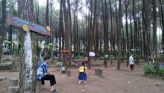 Wisata Precet Forest Park