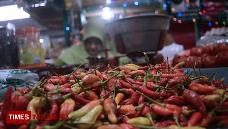 Petani Jatim Prediksi Harga Cabai Mulai Normal Pertengahan Maret 2021