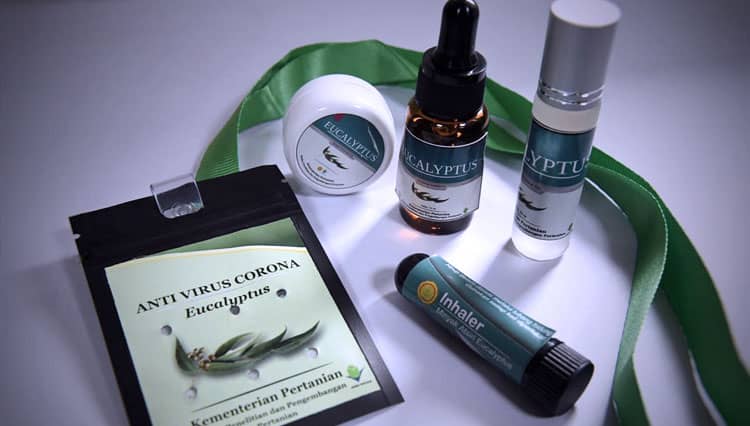 Kementan RI Sebut Antivirus Berbasis Eucalyptus Bisa Bunuh 80 Persen Virus