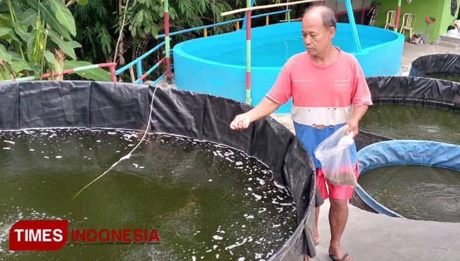 Garam Dapat Hindari Kematian Ikan Kolam Bioflok di Suhu Ekstrim