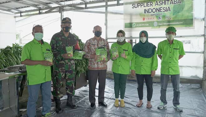 Ubaya Bantu Petani Kembangkan Produk Pertanian Ashitaba