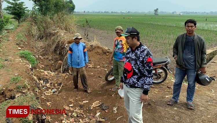 Para Petani Bingung, Ratusan Hektar Sawah Malah Kekeringan di Musim Hujan