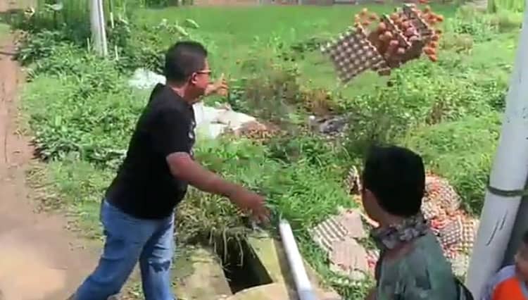 Viral Video Buang Telur ke Sawah karena Harga Pakan Tinggi, Ternyata Peternak Asal Ngariboyo Magetan