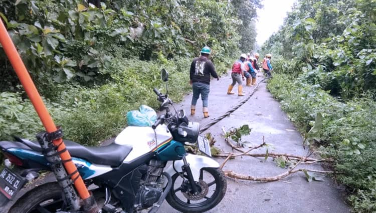 Pohon dan 18 Tiang Listrik Roboh, Wisata Alas Purwo Ditutup Sementara
