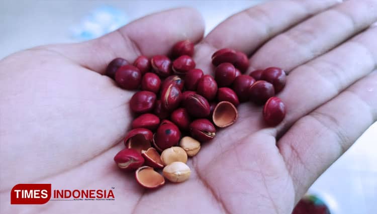 Biji Segawe, Cemilan Jadul yang Masih Ditemukan Saat Lebaran di Banyuwangi