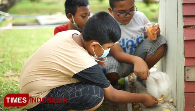 Jember Mini Zoo, Tempat Berwisata Sekaligus Mengenal Satwa Liar di Kota Suwar-Suwir
