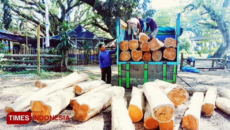 Diduga Hasil Curian, Perhutani KPH Banyuwangi Selatan Amankan Truk Bermuatan Kayu