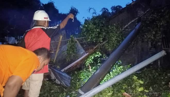 Angin Kencang di Kabupaten Mojokerto, Tiang Listrik Roboh Akibatkan Korban Jiwa